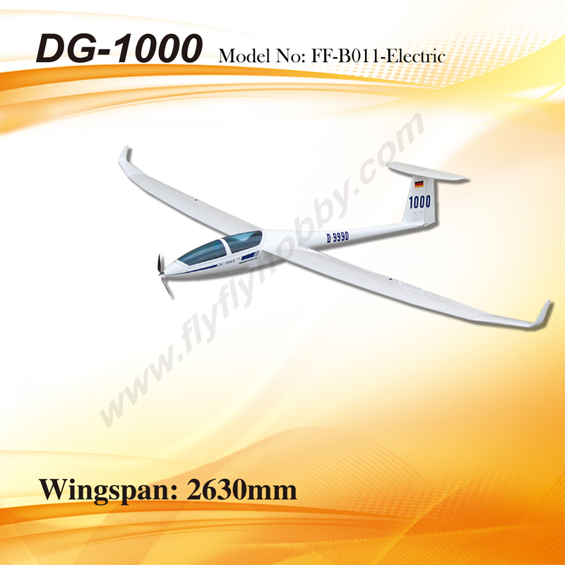 DG-1000 Electric_Kit w/motor&prop