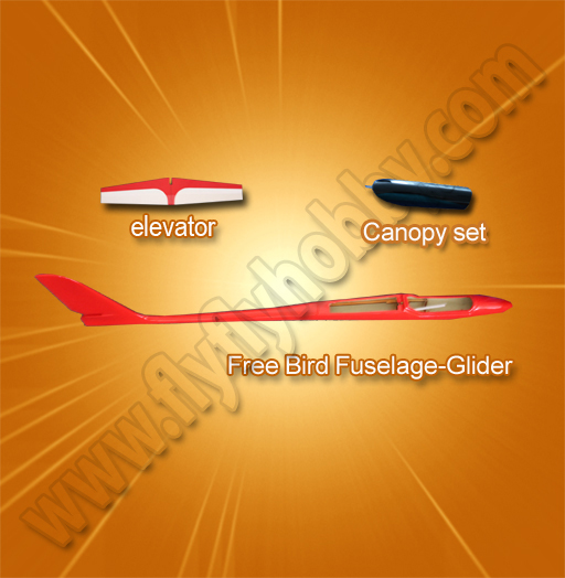 FreeBird Fuselage-glider